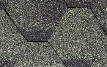Bishon Common fibreglass shingle repairs