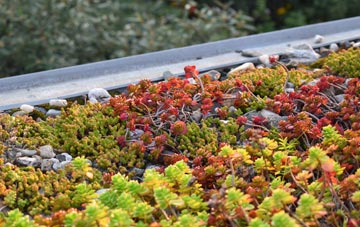 the cost of Bishon Common green roof installation