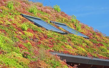 Bishon Common living roof systems