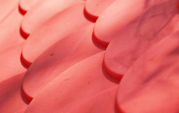 Bishon Common plastic roof costs