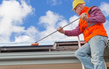 Bishon Common soft wash roof cleaning