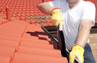 Bishon Common roof cleaners